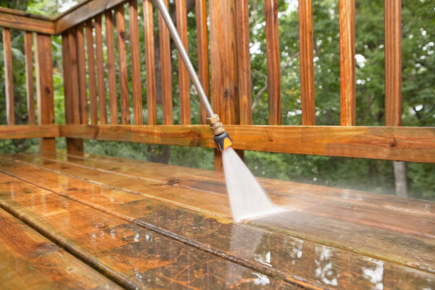 Best Dumpster Area Cleaning  in Freeport, IL